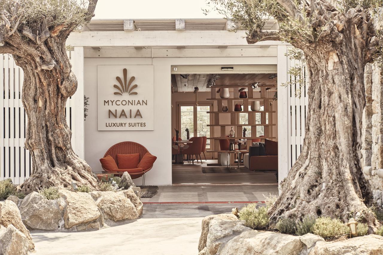 Myconian Naia - Preferred Hotels & Resorts (Adults Only) Mykonos Town Exteriör bild